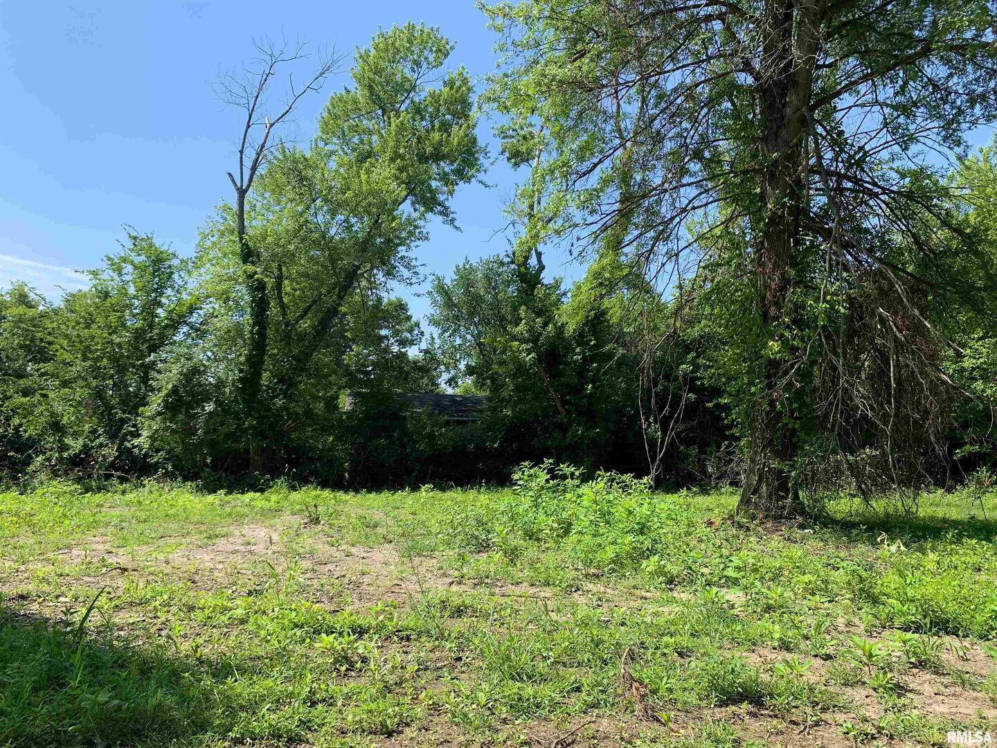 5281-5287 Country Club Road, Unit 1 2 Murphysboro, IL 62966 - Photo 33 of 50 a view of garden with trees