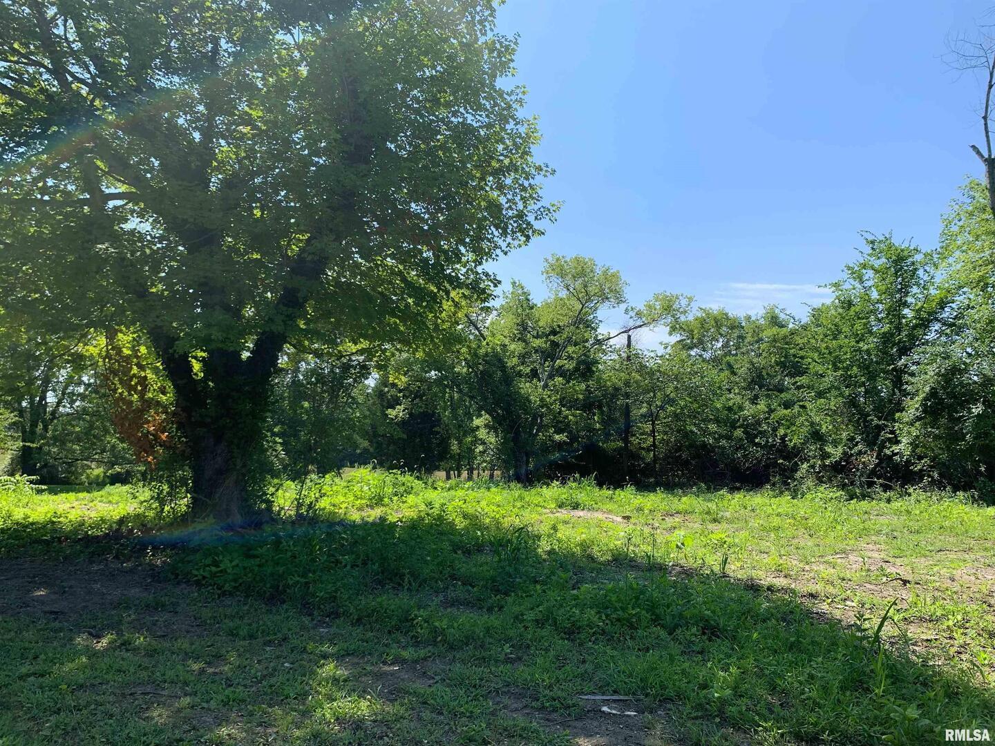 5281-5287 Country Club Road, Unit 1 2 Murphysboro, IL 62966 - Photo 44 of 50 a view of an beautiful outdoor space