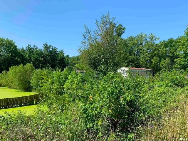 a view of a park with plants and a bench