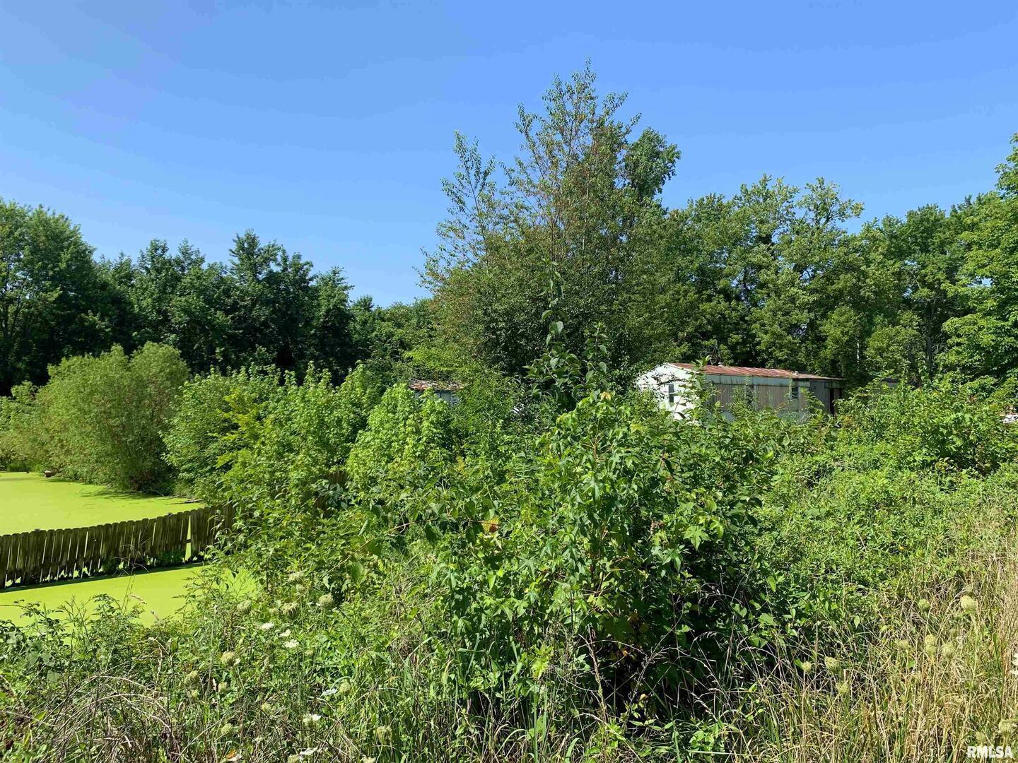 5281-5287 Country Club Road, Unit 1 2 Murphysboro, IL 62966 - Photo 45 of 50 a view of a garden with a building in the background