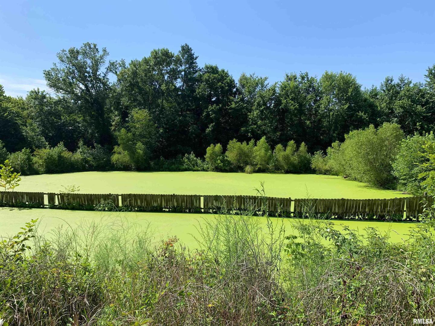 5281-5287 Country Club Road, Unit 1 2 Murphysboro, IL 62966 - Photo 46 of 50 a view of field with grass and trees