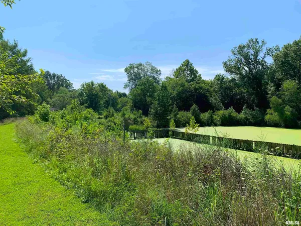 a view of road with grass and trees