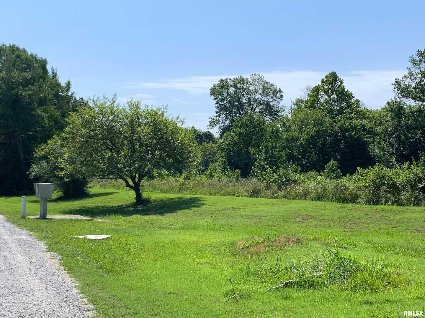 5281-5287 Country Club Road, Unit 1 2 Murphysboro, IL 62966 - Photo 48 of 50 a view of a grassy field with trees