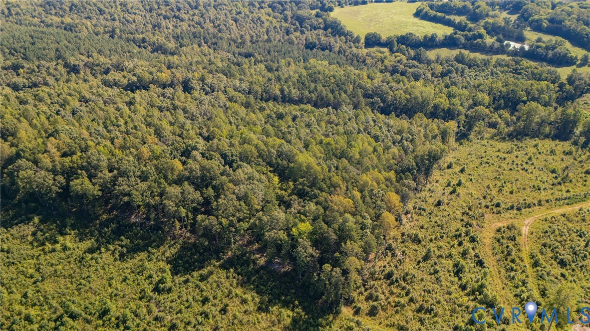 0 Mountain Hall Road Crewe, VA 23930 - Photo 6 of 11 Expansive acreage featuring mature trees, open cle