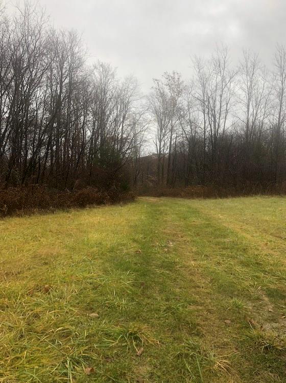 3970 Pitkin Road Martinsville, IN 46151 - Photo 1 of 4 Gallery Image 1