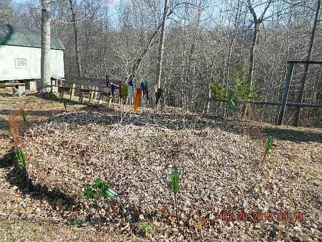820 New Fox Road Irvine, KY 40336 - Photo 32 of 64 Photo 32