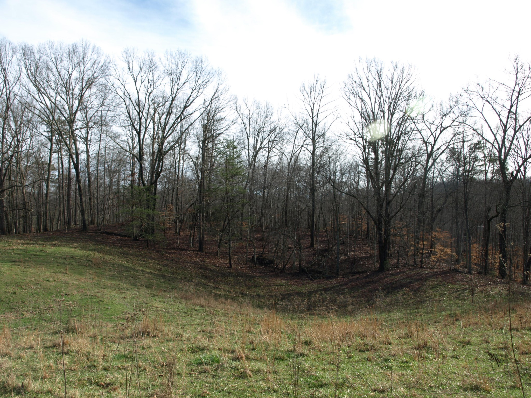0 Big Creek Road La Follette, TN 37766 - Photo 20 of 30 Gallery Image 20