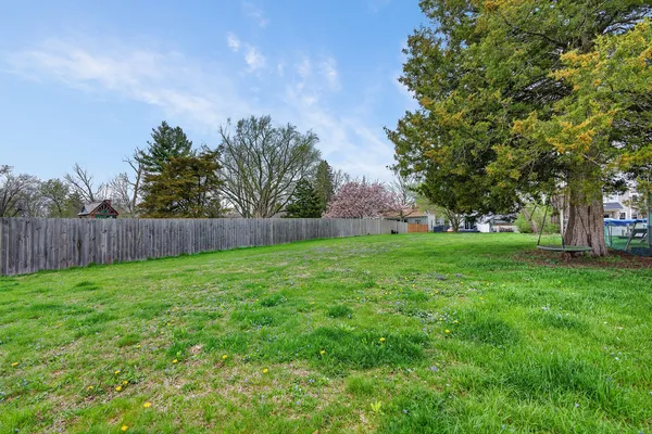 a view of a yard with a tree