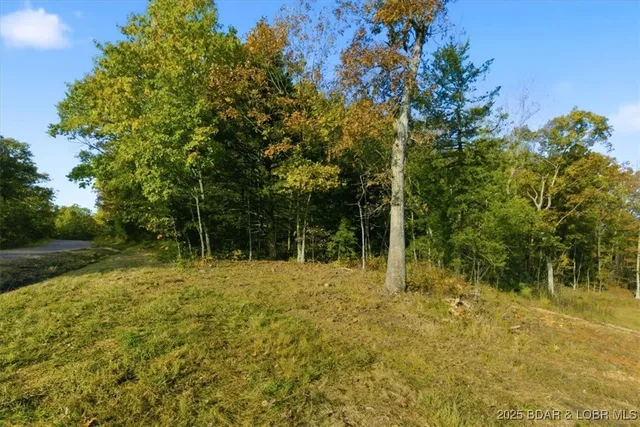 $299,000 | Tbd Brendel Boulevard, Rocky Mount, MO 65072