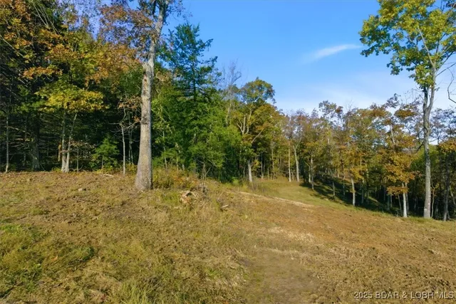 $299,000 | Tbd Brendel Boulevard, Rocky Mount, MO 65072