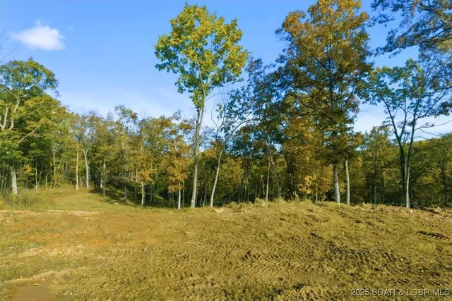 $299,000 | Tbd Brendel Boulevard, Rocky Mount, MO 65072