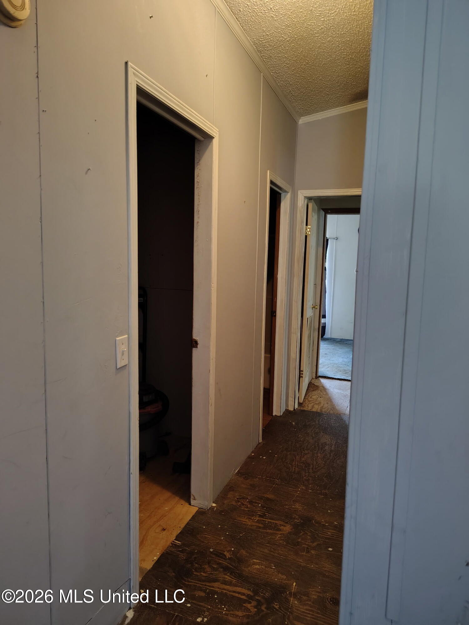 951 Walker Road Coldwater, MS 38618 - Photo 11 of 22 4e1a2daf-c2fe-4612-86d8-aa7d23a38a62