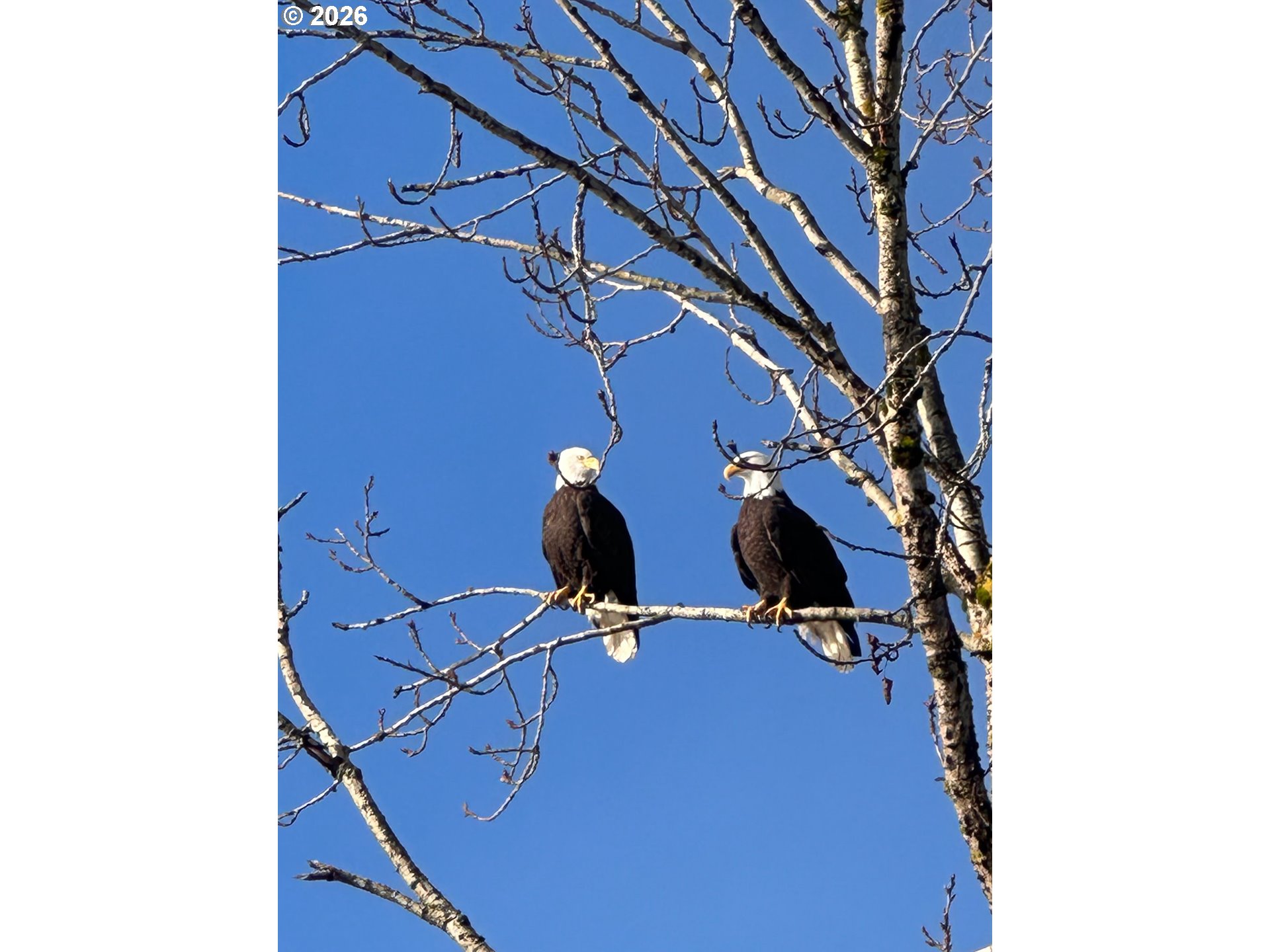 2158 South River Road Kelso, WA 98626 - Photo 25 of 26 View