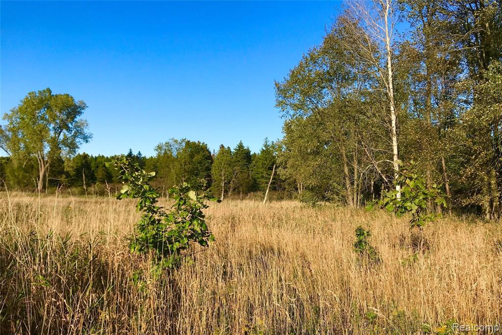 V/l Wasson Road Gregory, MI 48137 - Photo 14 of 16 Gallery Image 14