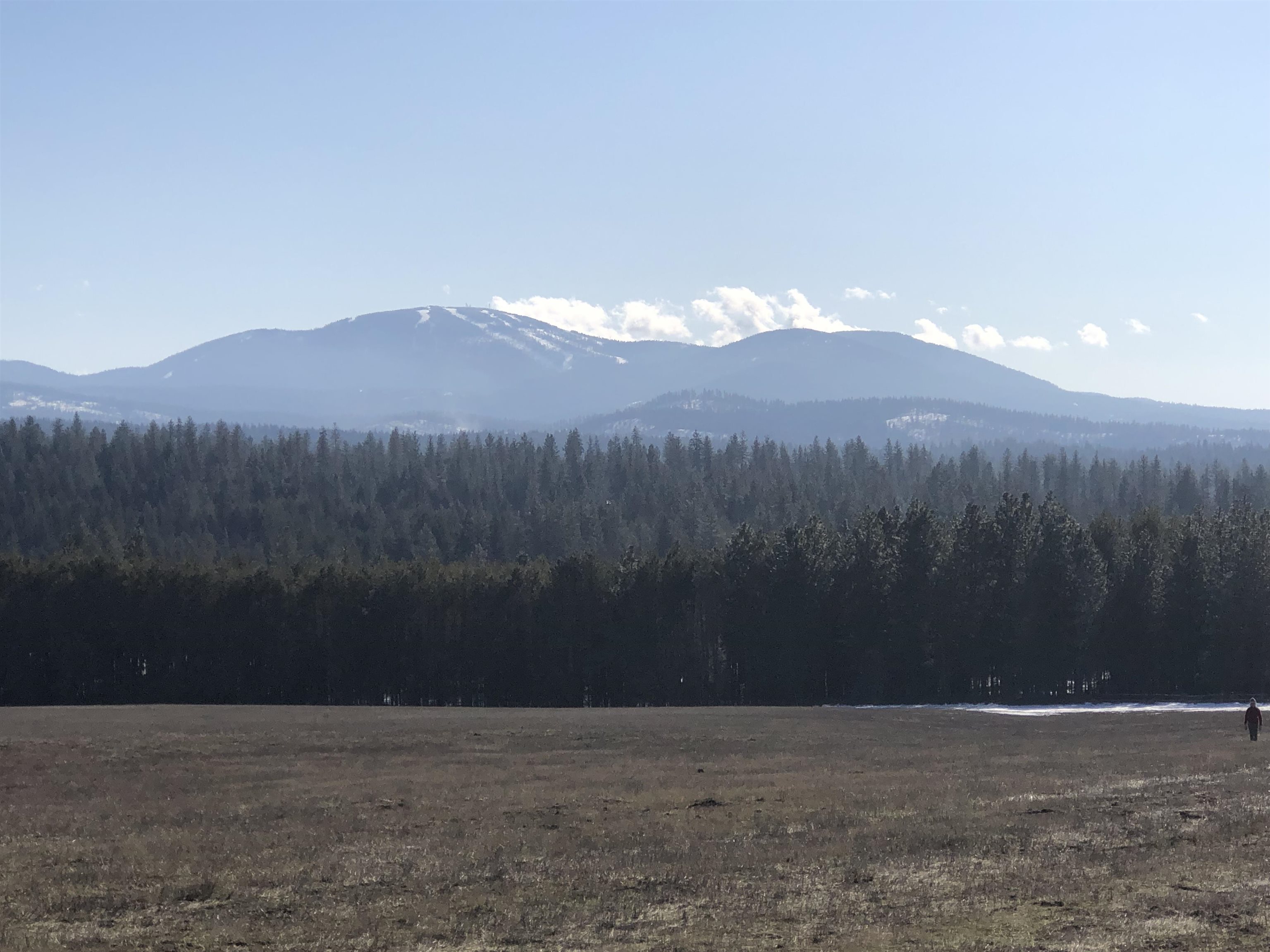 41900 North Darknell Road Elk, WA 99009 - Photo 11 of 33 Gallery Image 11