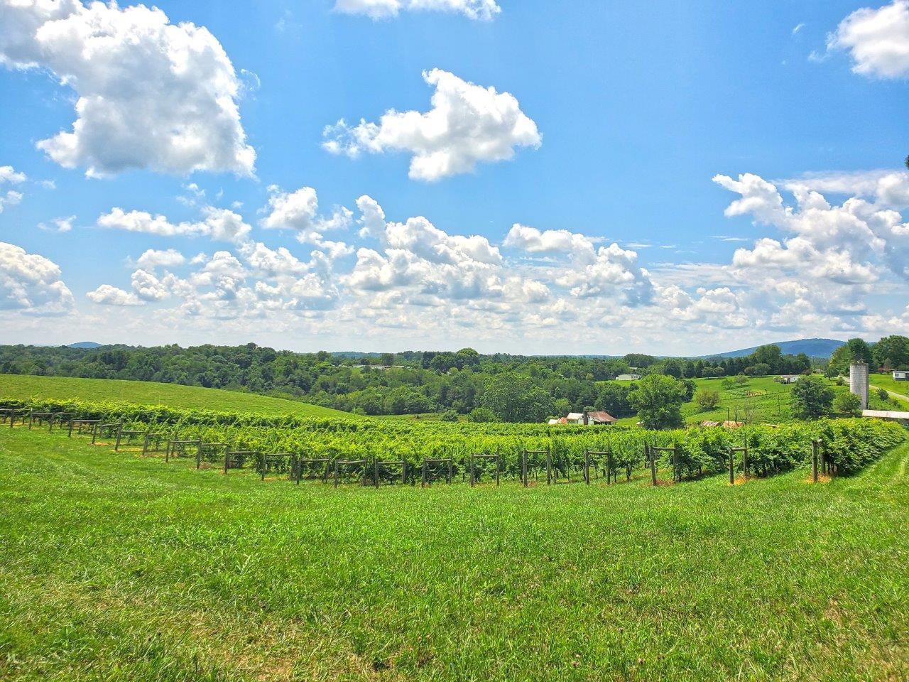 0 Turner Branch Road Goodview, VA 24095 - Photo 13 of 27 a view of a big yard with lots of green space