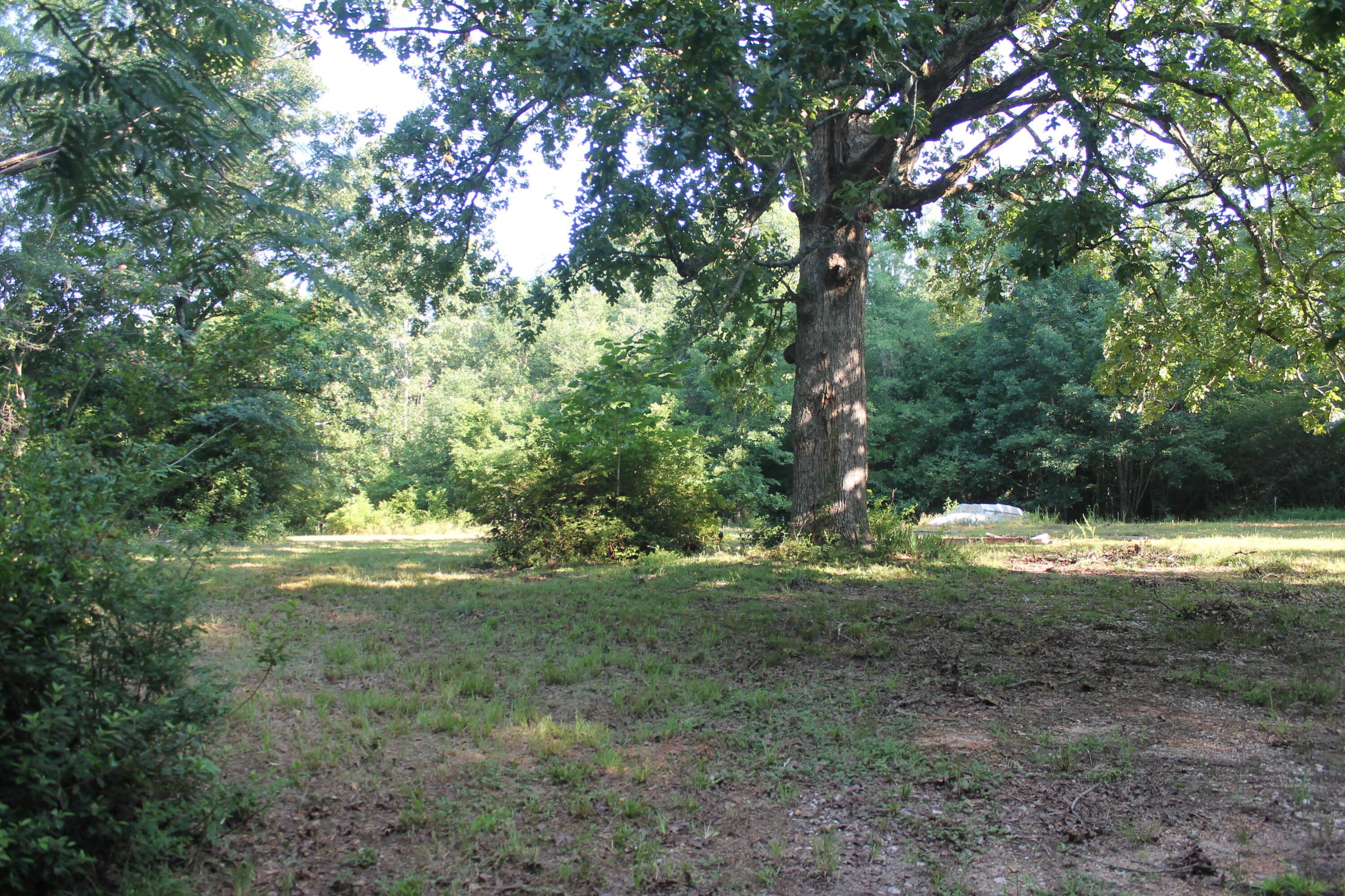 1200 B Highway McCormick, SC 29835 - Photo 6 of 11 a view of outdoor space and yard