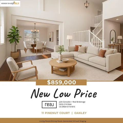 a living room with furniture windows and a potted plant