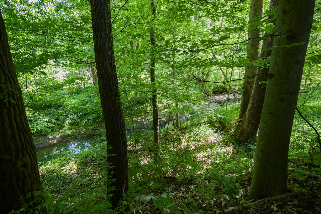 815 Keeler Road Spencer, IN 47460 - Photo 13 of 41