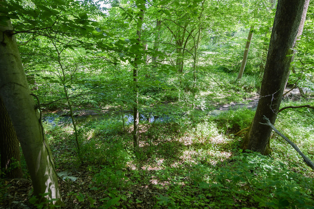 815 Keeler Road Spencer, IN 47460 - Photo 14 of 41