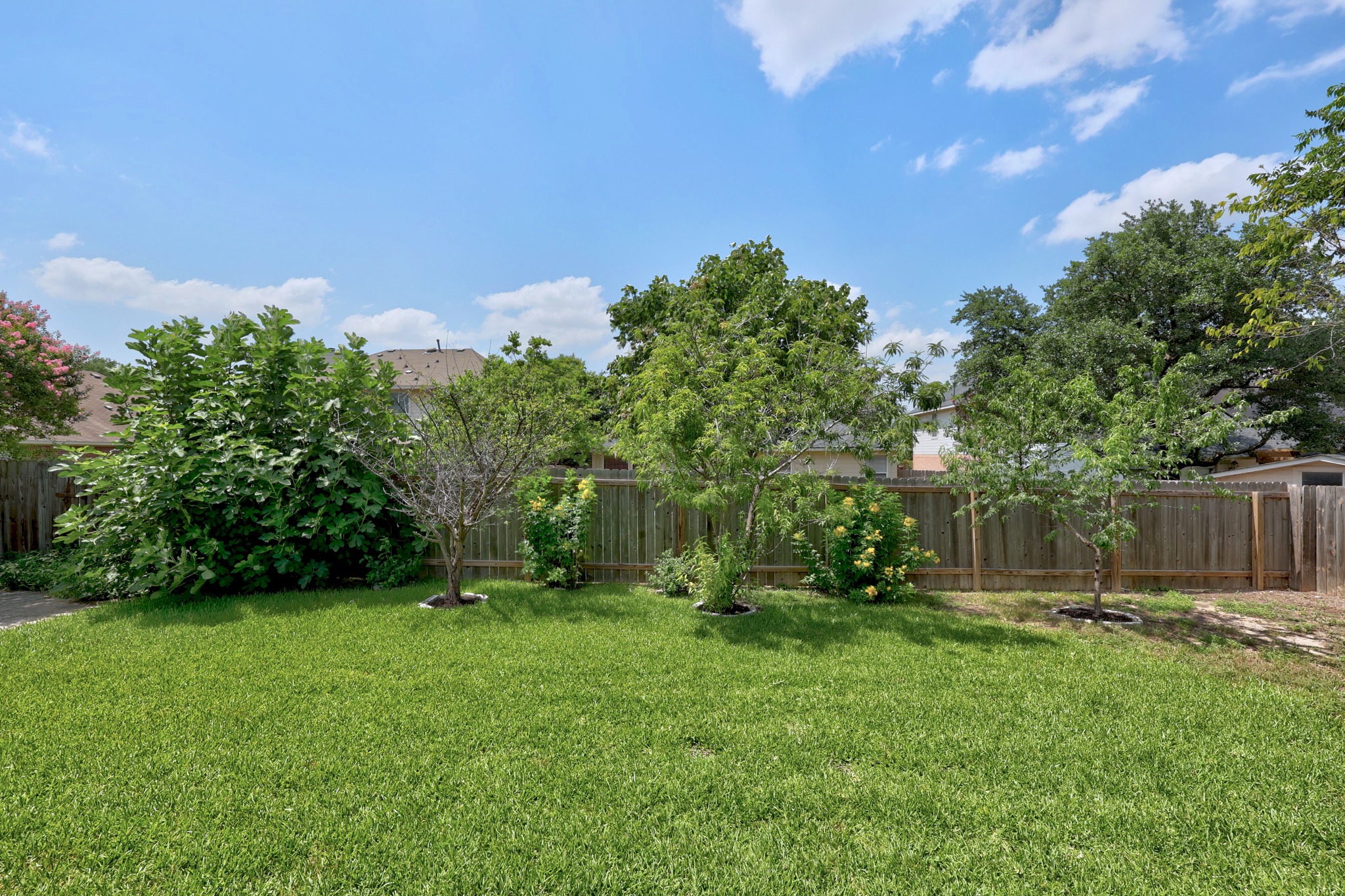 1108 Springbrook Road Pflugerville, TX 78660 - Photo 30 of 37 A green lawn bordered by a wood fence and established trees creates a serene outdoor space.