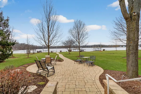 a view of a flower in a garden