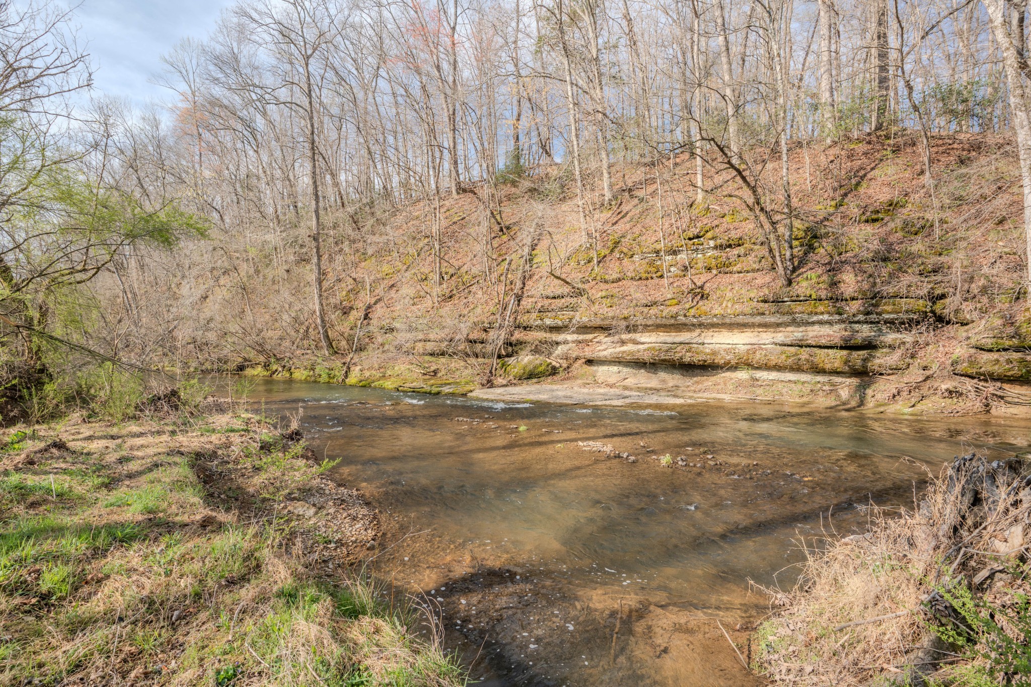 109 Rascal Town Road Loretto, TN 38469 - Photo 33 of 43