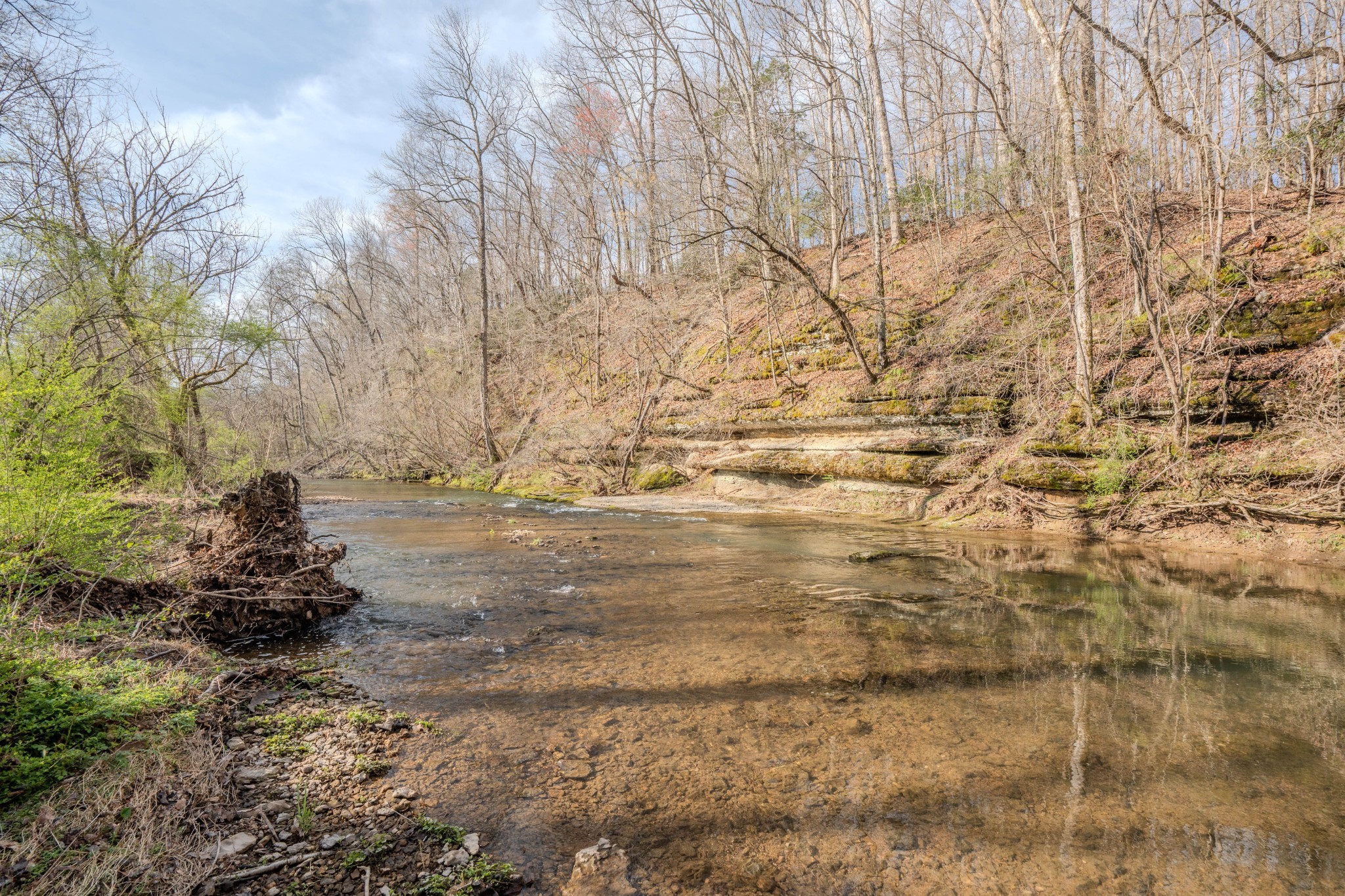 109 Rascal Town Road Loretto, TN 38469 - Photo 34 of 43