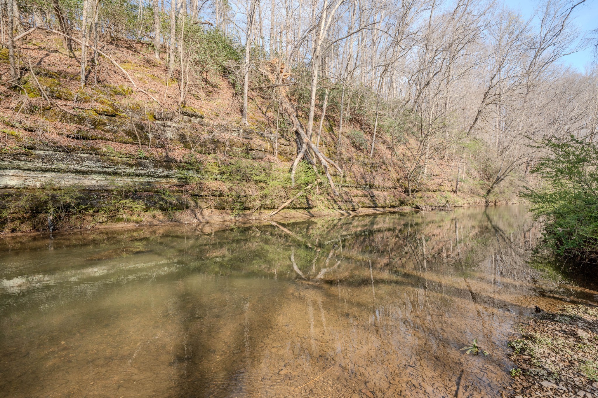 109 Rascal Town Road Loretto, TN 38469 - Photo 35 of 43