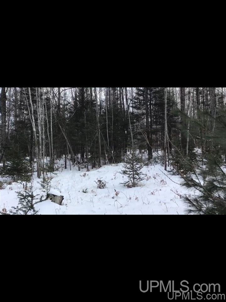 Tbd Swamp Road Powers, MI 49874 - Photo 13 of 30