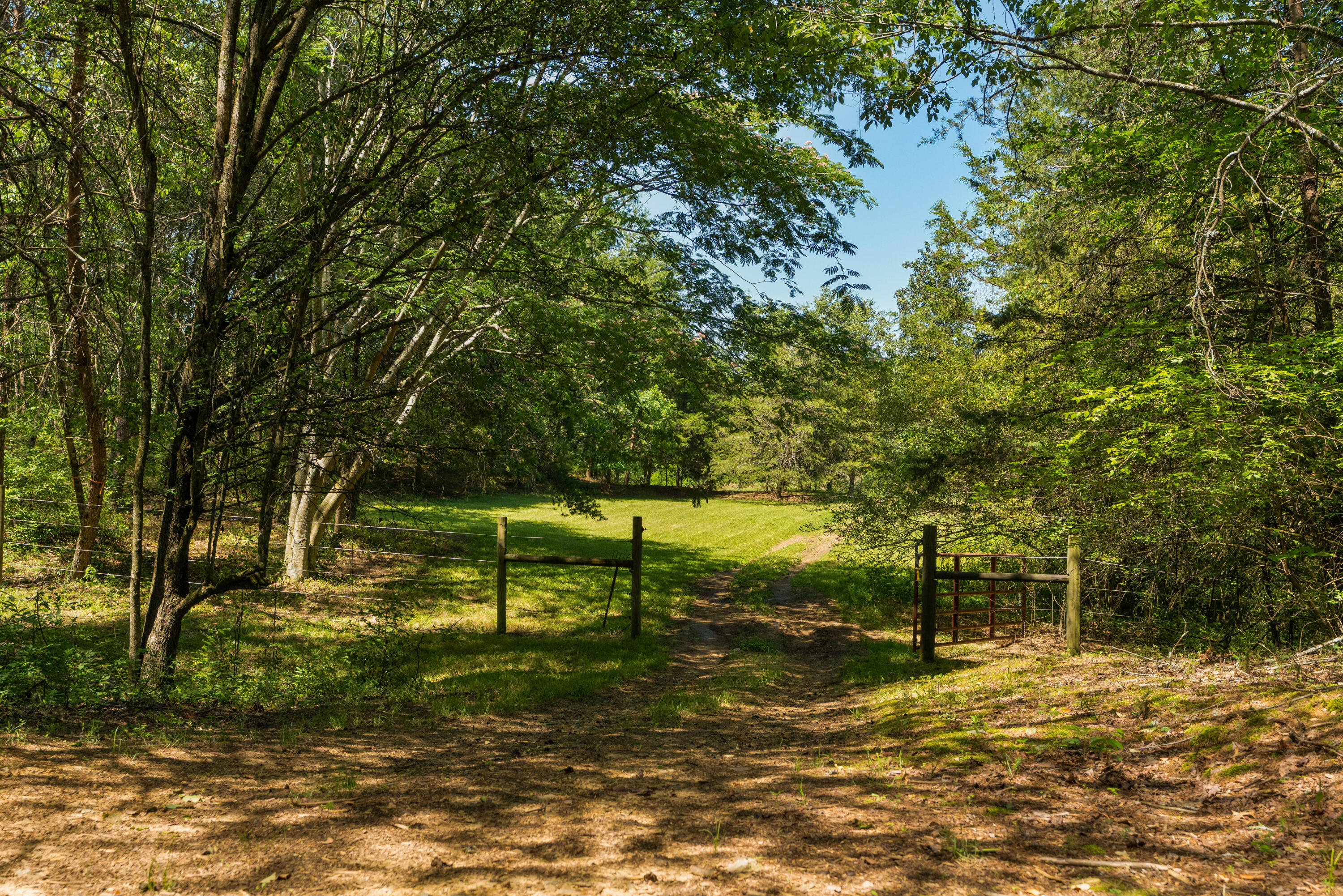 527 Reads Lake Road Chattanooga, TN 37415 - Photo 85 of 100 106 - 527 Reads Lake - Grounds