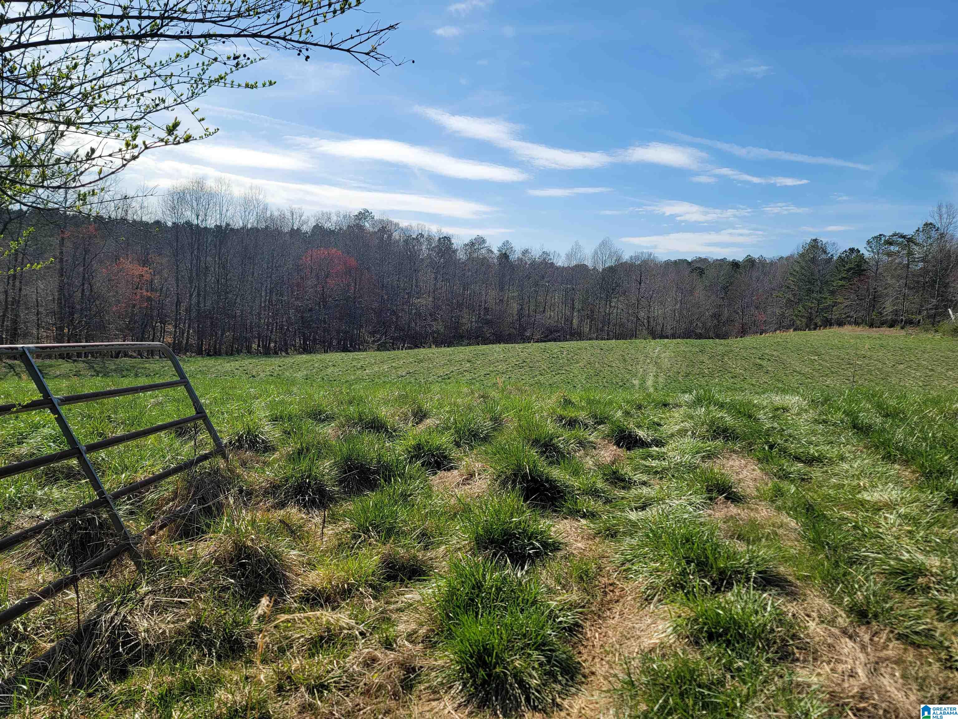 208 County Road, Unit 23 Muscadine, AL 36269 - Photo 1 of 11