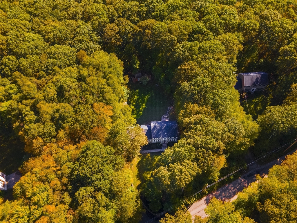 138 Walnut Street Douglas, MA 01516 - Photo 31 of 32 a view of a yard