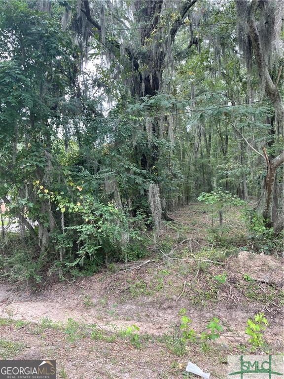 0 Big Hill Road Savannah, GA 31408 - Photo 1 of 1 Gallery Image 1