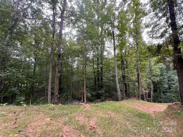 $139,000 | 0 Country Club Drive, Unit G1&2, Canton, NC 28716