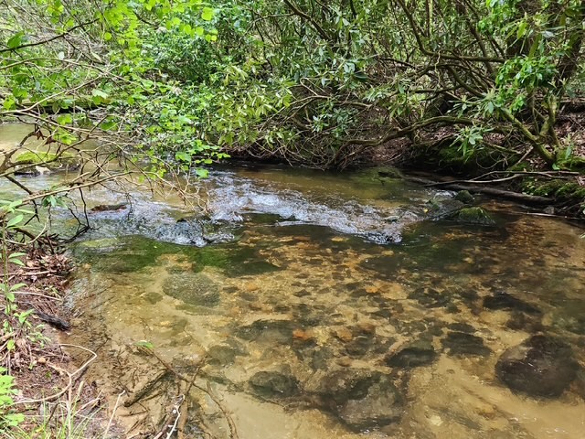 25 Cashes Valley Cherry Log, GA 30522 - Photo 4 of 5 a view of a lake with trees