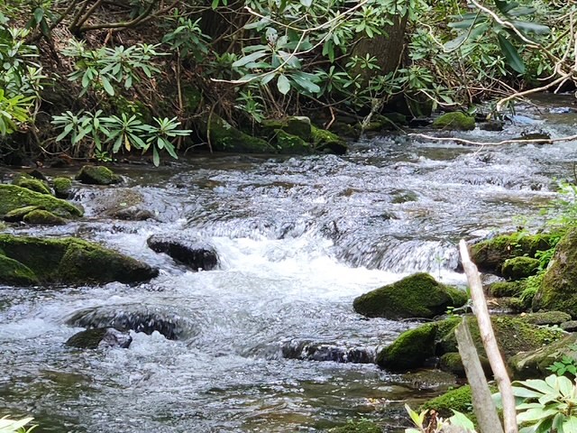 25 Cashes Valley Cherry Log, GA 30522 - Photo 5 of 5 a view of a pathway with a yard