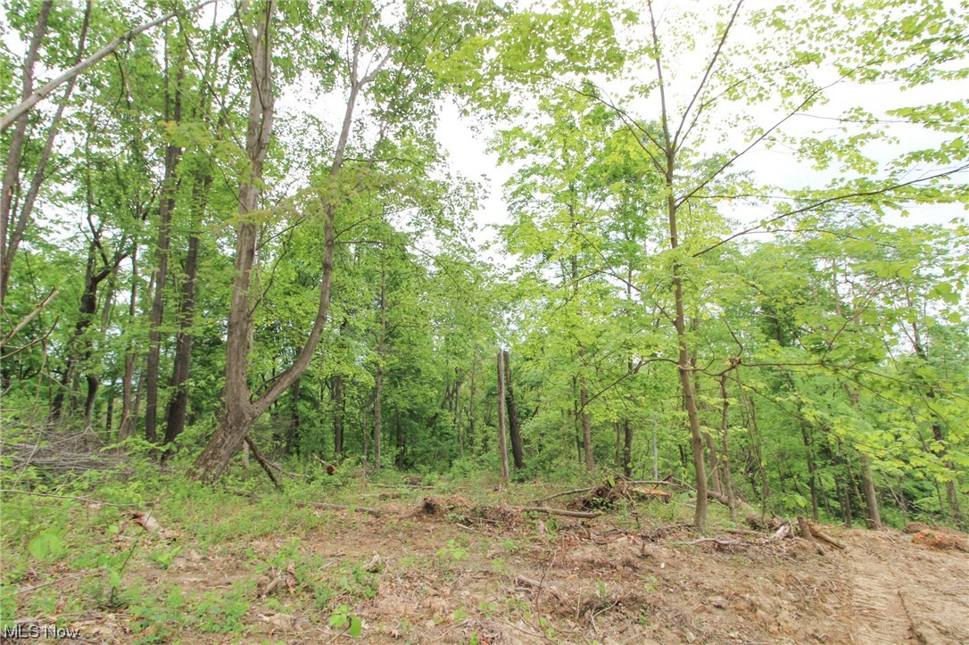 2 Mount Carmel Ridge Rd Street St. Marys, WV 26170 - Photo 15 of 18