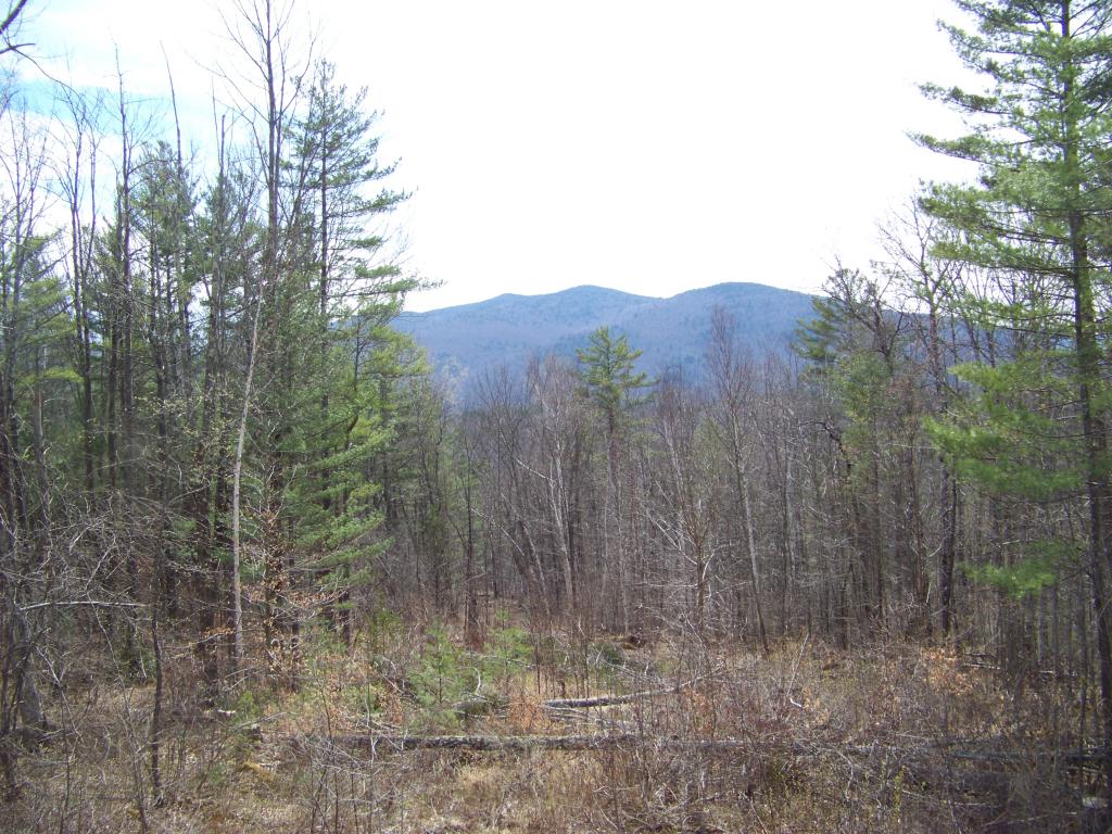72 Meadow Hawk Lane Rochester, VT 05767 - Photo 5 of 19