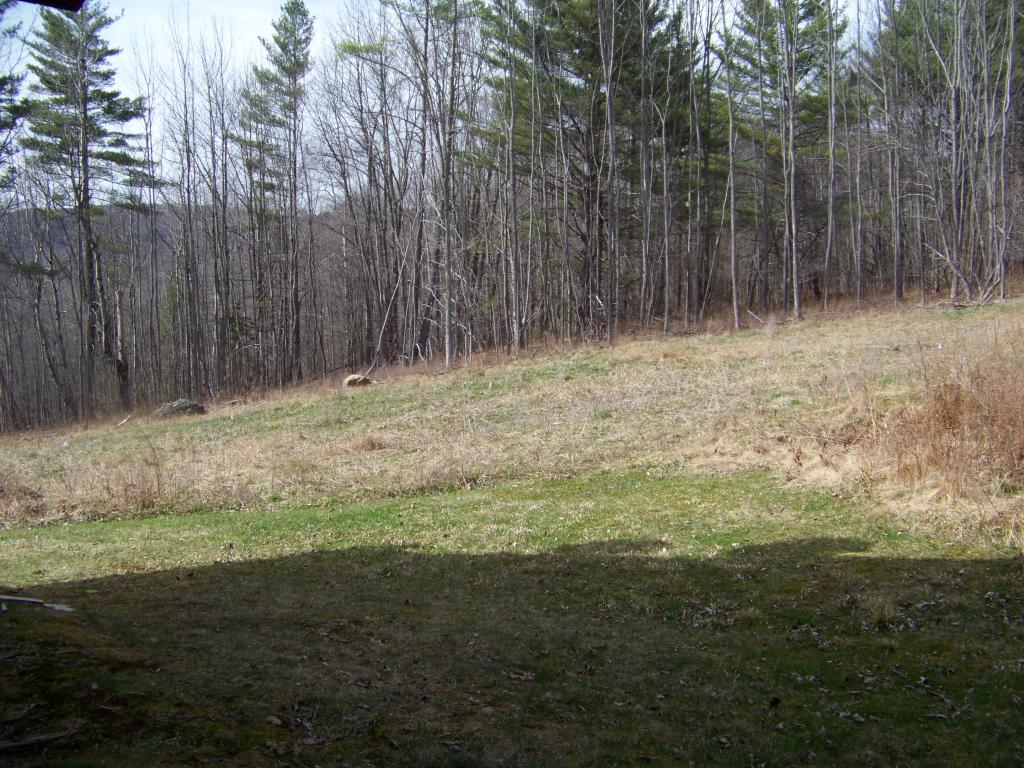 72 Meadow Hawk Lane Rochester, VT 05767 - Photo 9 of 19