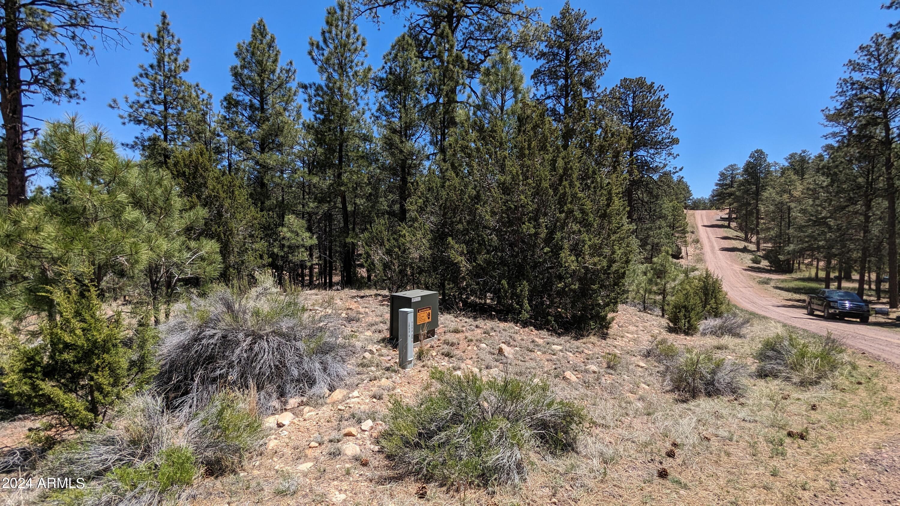2968 Constellation Lane Overgaard, AZ 85933 - Photo 11 of 11 a view of a yard with large trees