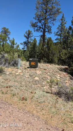$200,000 | 2968 Constellation Lane, Overgaard, AZ 85933