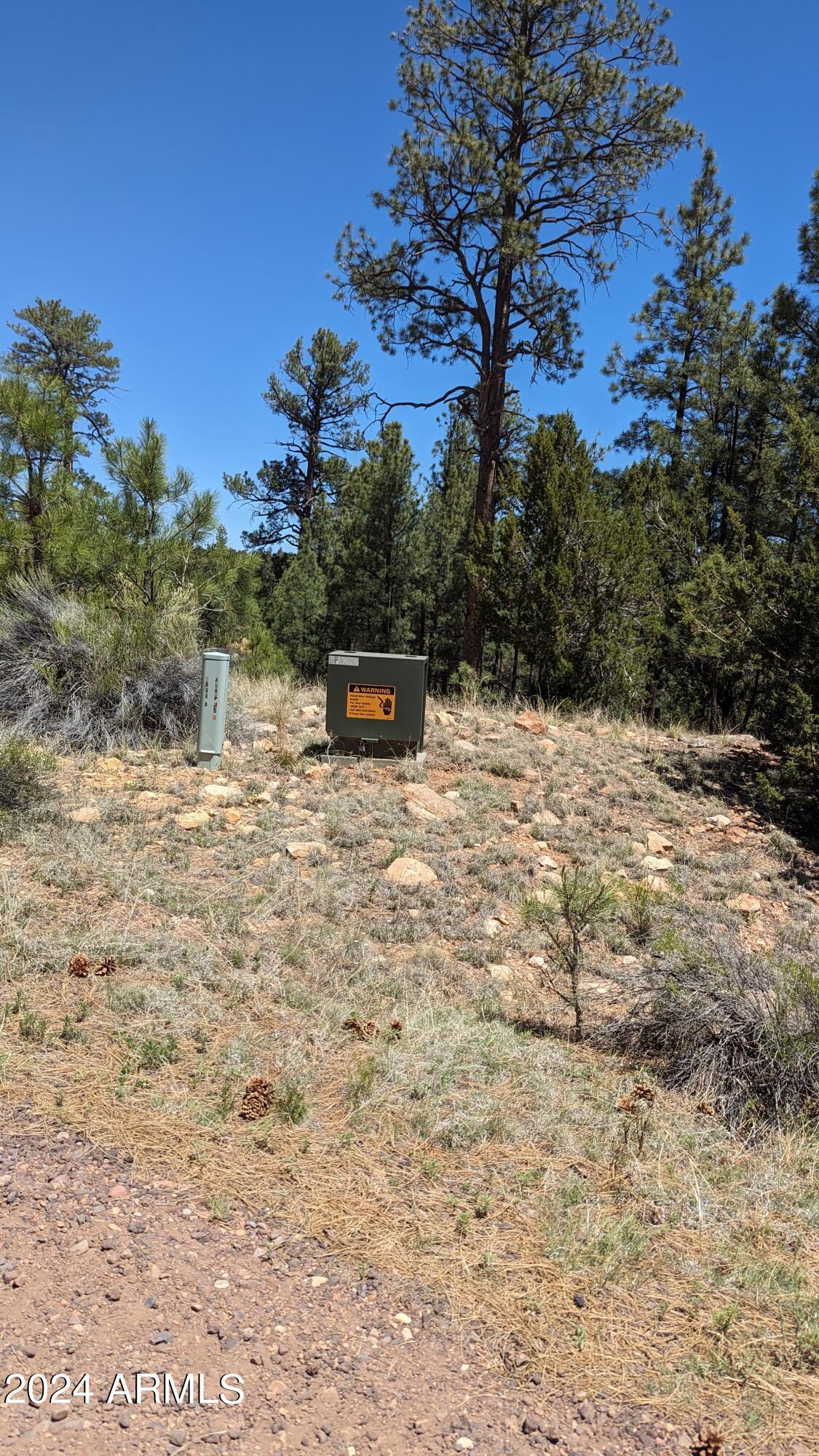 2968 Constellation Lane Overgaard, AZ 85933 - Photo 3 of 11 a view of outdoor space with trees all around