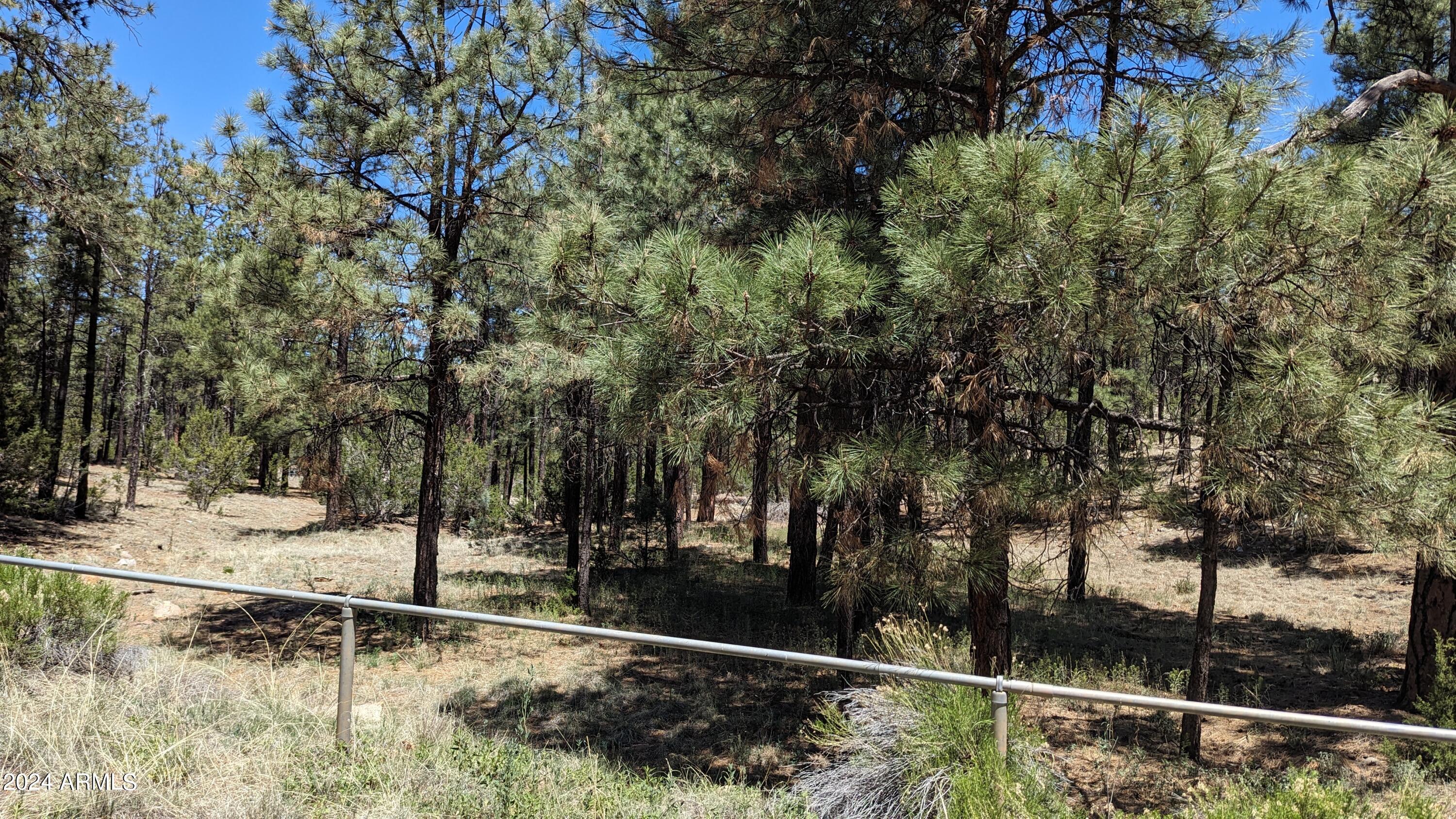 2968 Constellation Lane Overgaard, AZ 85933 - Photo 4 of 11 a backyard of a house with lots of green space
