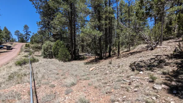 $200,000 | 2968 Constellation Lane, Overgaard, AZ 85933