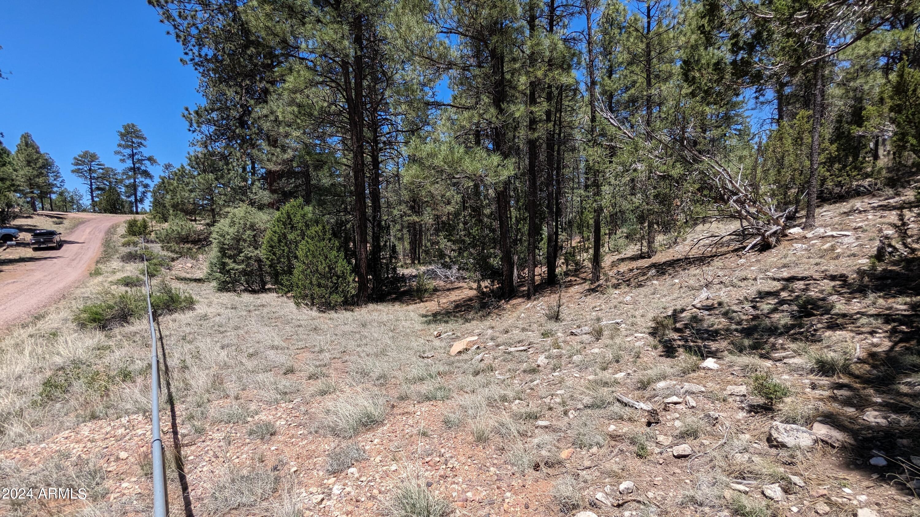 2968 Constellation Lane Overgaard, AZ 85933 - Photo 5 of 11 a view of water covered with snow in the background