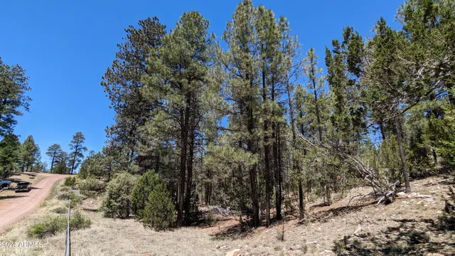 a view of outdoor space with trees