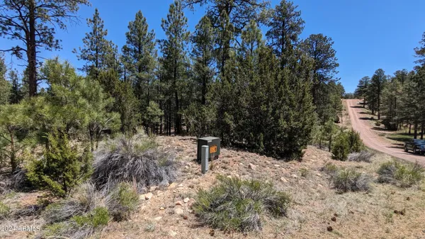 $200,000 | 2968 Constellation Lane, Overgaard, AZ 85933