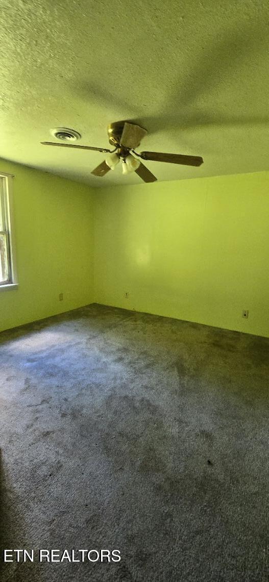 3894 Buffalo Road Oneida, TN 37841 - Photo 37 of 38 20260615_140853