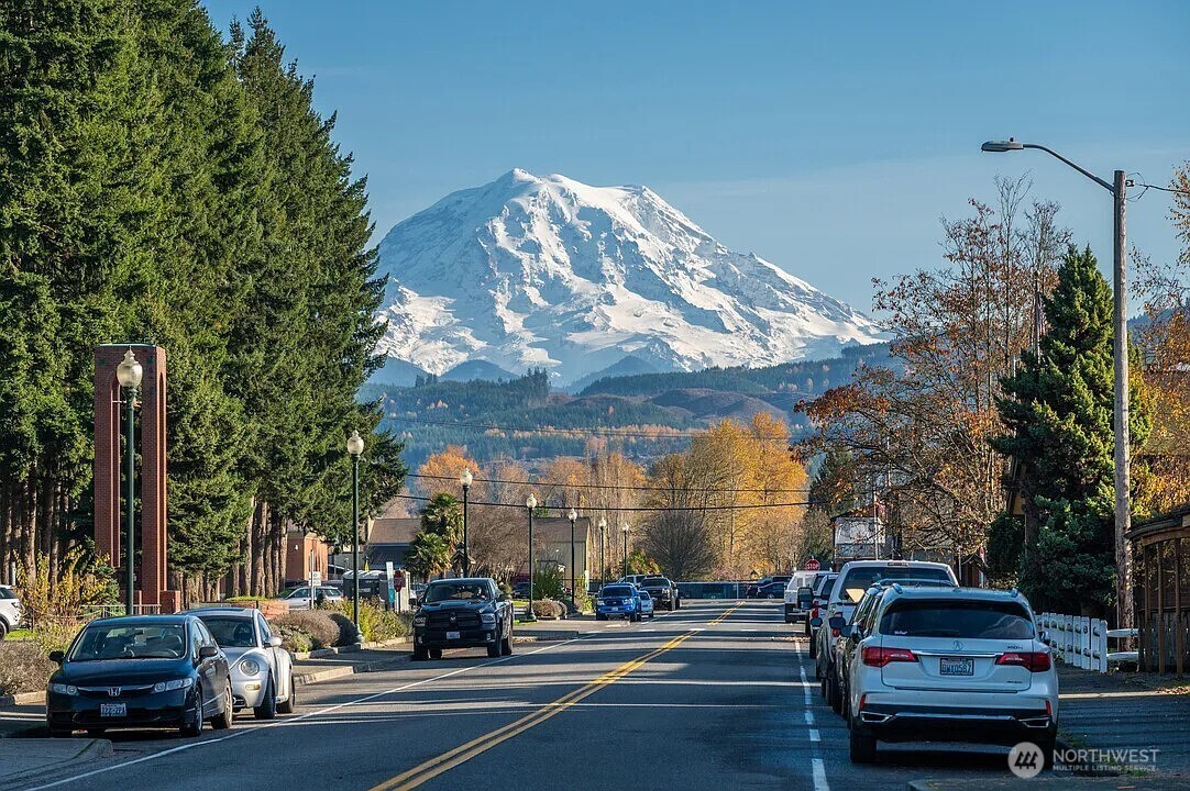 103 Hickory Avenue Southwest, Unit 35 Orting, WA 98360 - Photo 36 of 38 a car parked on the side of a street